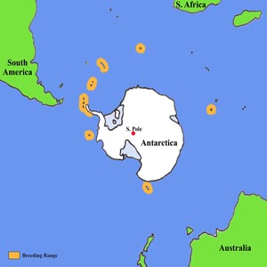 Chinstrap Penguin Distribution Map
