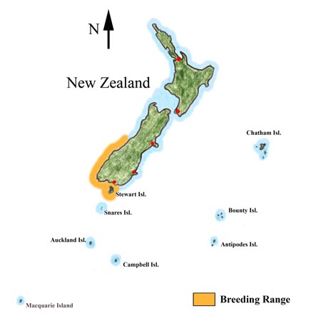 Fiordland Crested Penguin Distribution Map