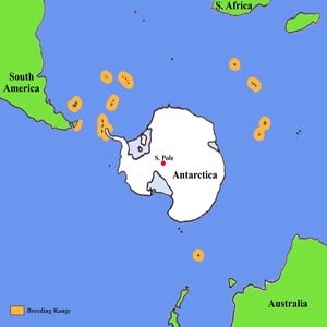 Gentoo Penguin Geographical Distribution of Breeding Sites Map