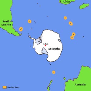 King Penguin Distribution Map