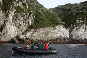 Zodiac Cruising off Coast of Snares Islands