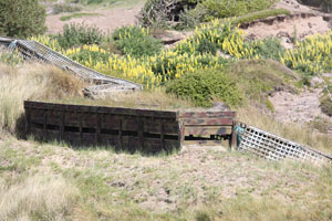 Yellow-Eyed Penguin Observation Hide