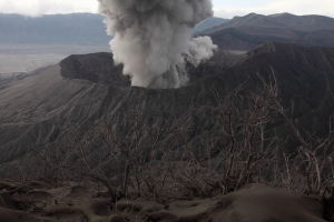 Bromo Volcano erupting ash with dead vegetation on Batok in foreground