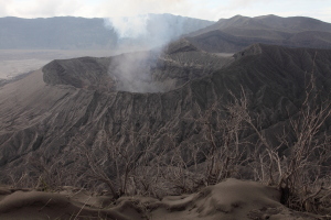 Bromo Volcano with dead vegetation on Batok in foreground