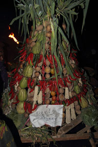 Bundle of argicultural sacrificial material at Yadnya Kasada festival