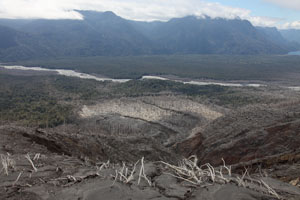 Chaiten Volcano, overview of Forest destroyed by pyroclastic flows on north flank