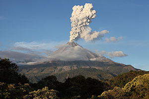 Vegetation lit in evening light with ash cloud rising from Colima volcano behind