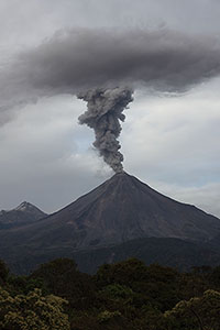 Ash cloud rising into grey ash cloud from previous eruption, Colima volcano