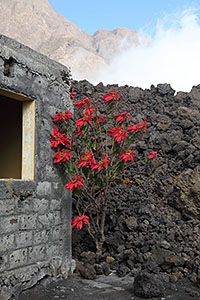 House touched by lava flow, Portela settlement, Fogo volcano