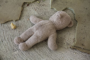 Abandoned Teddy Bear, Portela, Fogo Caldera