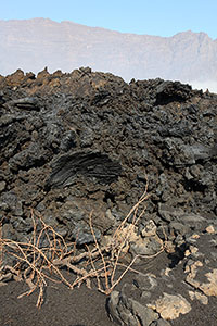 Lava flow meets agriculture at Fogo Caldera