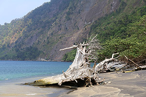 Beach and steep cliffs, Rakata island, Krakatau