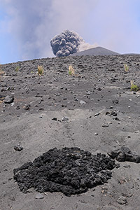 Basaltic volcanic bomb, Anak Krakatau