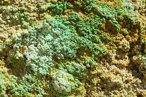 Green fumarolic deposits at Paliochori beach, Milos