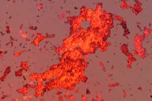 Nyamuragira Volcano eruption 2011 / 2012 - giant incandescent lava bombs