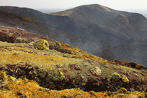 Nyamuragira Volcano primary site of 2011 eruption. Fissures due to subsidence of eruptive deposits, fumarolic deposits