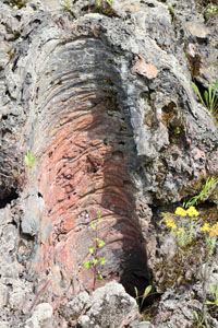 Nyiragongo volcano, lava tree mould