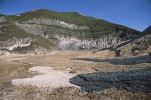 Comparison of hydrated and fresh natrocarbonatite lava, Oldoinyo Lengai