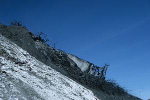 Batrocarbonatite lava gushing from hornito T58B on Oldoinyo Lengai volcano, Tanzania