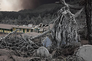 Damaged school and trees, Sinabung Volcano
