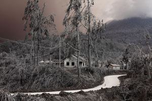 House and trees damaged by ash fall, Sinabung Volcano