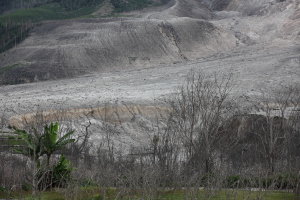 Location of fatal pyroclastic flow at Sinabung, damaged vegetation