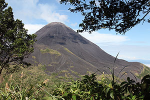 Soputan Volcano viewed through vegetation from NE