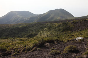Suwanosejima, Negimadake crater