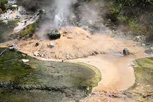 Waimangu Valley Hot Springs