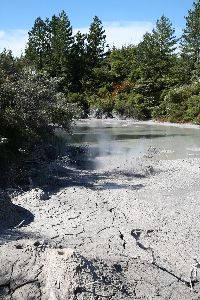 Mud pools Waiotapu