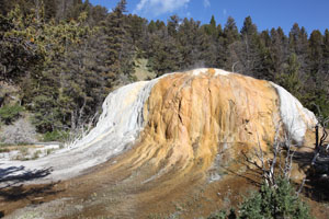 Orange Spring Mound, Mammoth Hot Springs, Yellowstone
