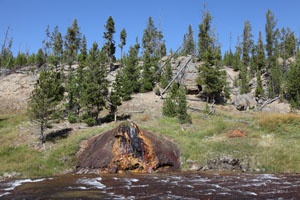 Chocolate Pots, Ferrous Hot Springs ,Gibbon River, Yellowstone