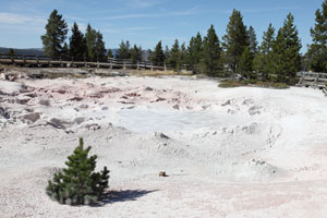 Boiling Mud Pots, Fountain Paint Pot Area, Lower Geyser Basin, Yellowstone