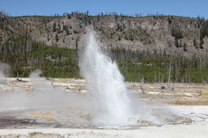 Jewel Geyser, Biscuit Basin, Upper Geyser Basin, Yellowstone