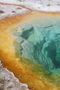 Morning Glory Pool, Hot Spring, Upper Geyser Basin, Yellowstone